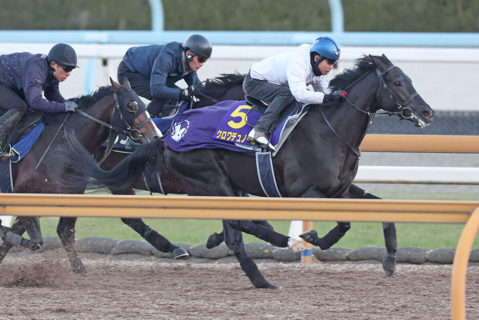 北村友一騎手が騎乗し、３頭併せで追い切られたクロワデュノール（右、カメラ・高橋　由二）