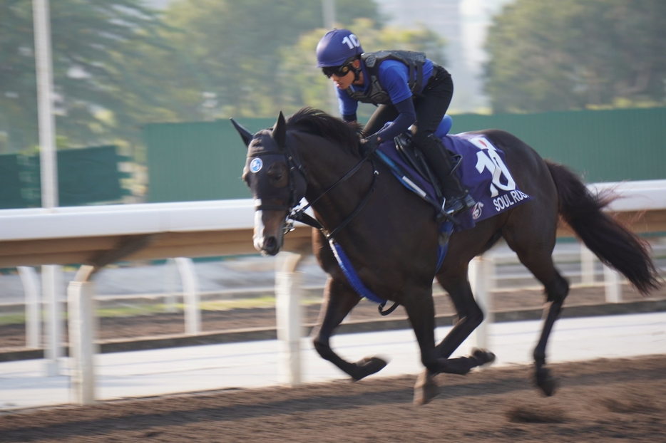 香港マイルに出走するソウルラッシュ