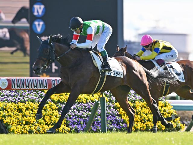 中山5Rの新馬戦を制したバースライト(撮影：小金井邦祥)