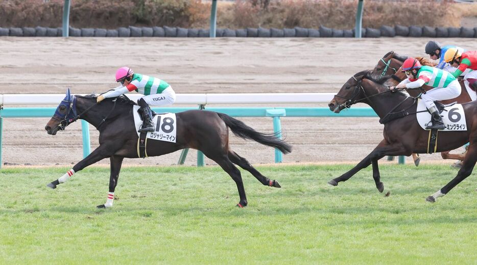 中山４Ｒ・２歳未勝利戦は勝ったロジャリーマイン（左）が上がり３５秒８で１位タイ（カメラ・安藤　篤志）