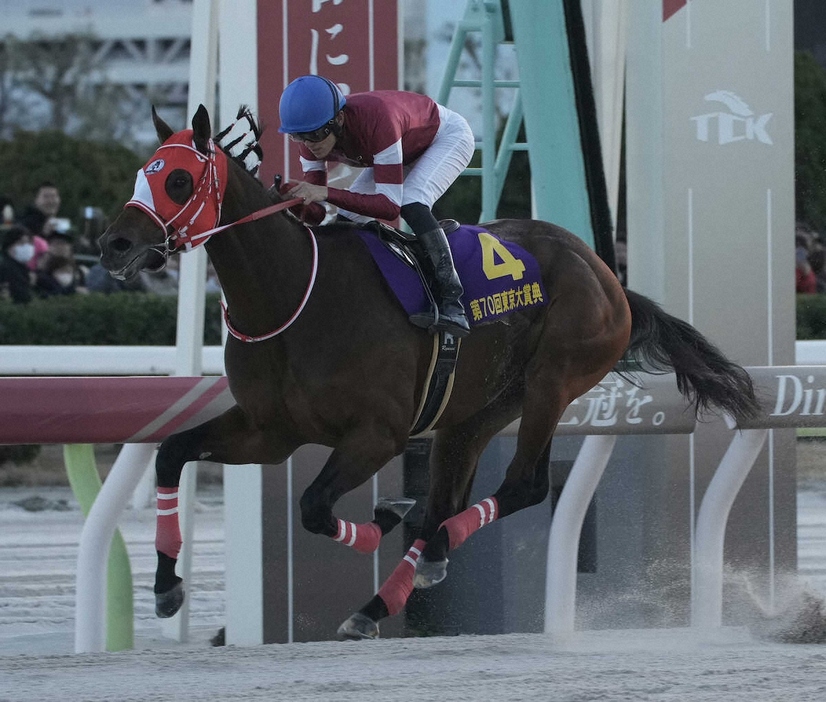 ＜東京大賞典＞レースを制したフォーエバーヤング（撮影・郡司　修）