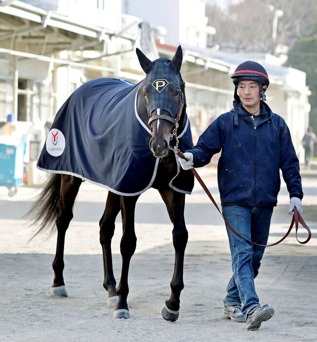 前走から上積みが大きいピコチャンブラック（カメラ・荒牧　徹）