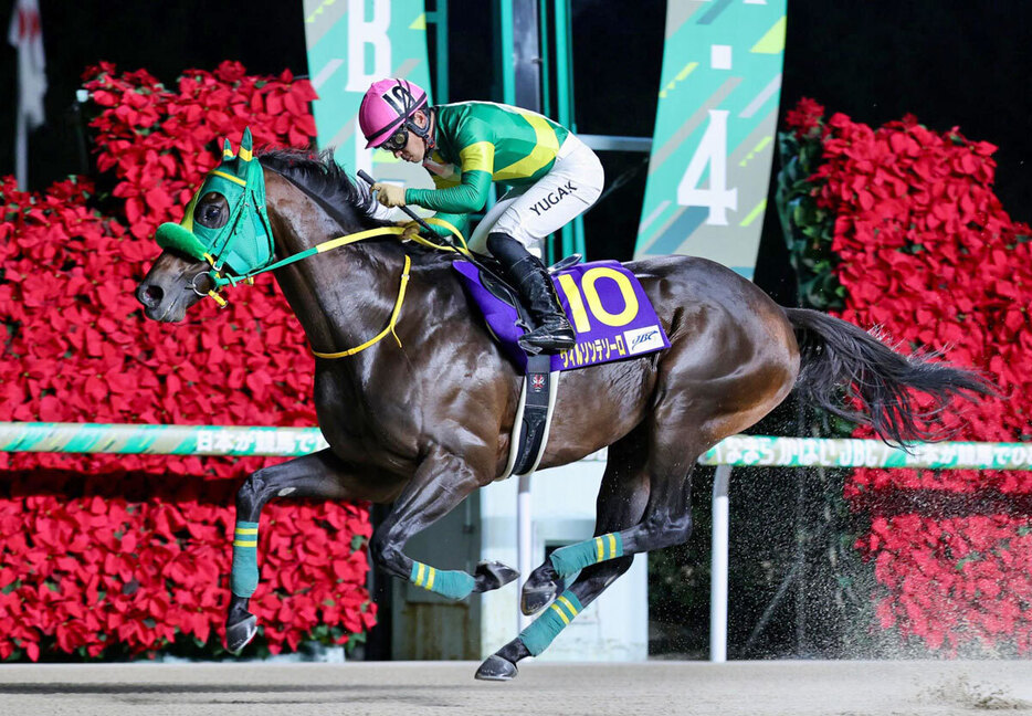 ウィルソンテソーロ（佐賀県競馬組合提供）