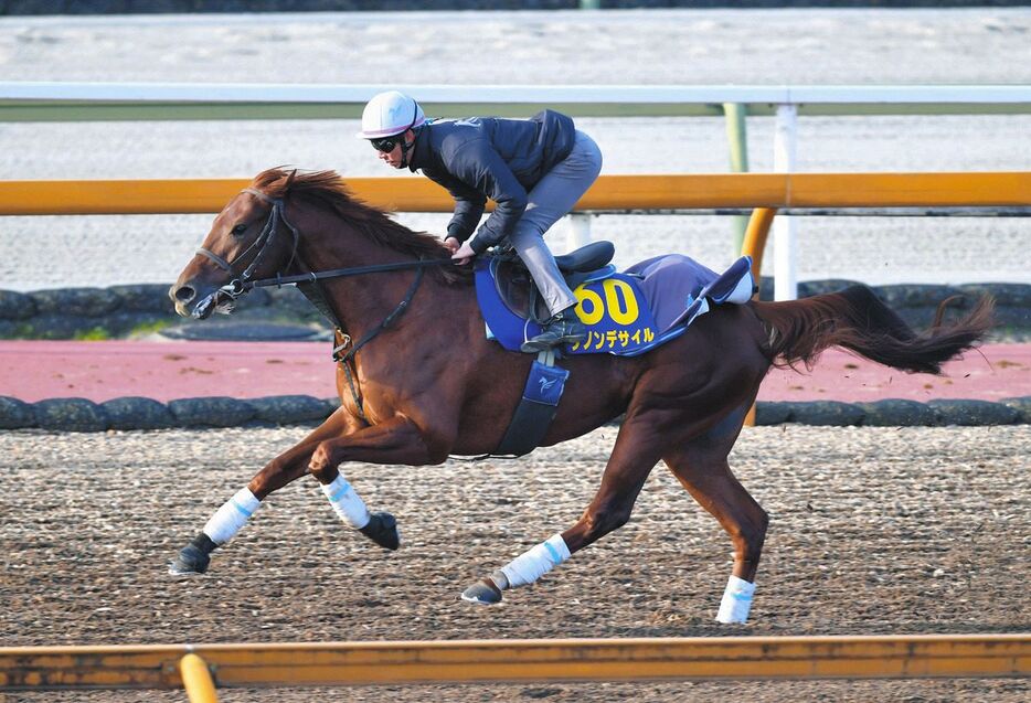 安田翔伍師を背に栗東ＣＷで追い切るダノンデサイル＝栗東トレセン