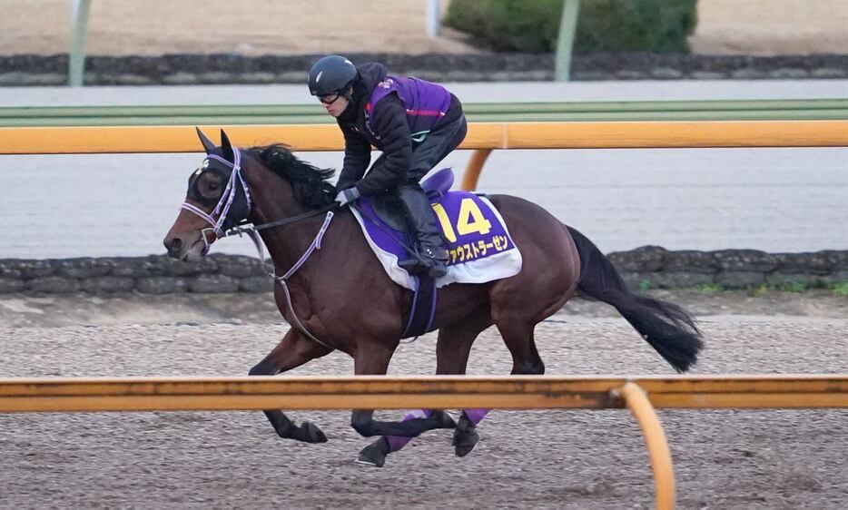 ファウストラーゼン＝19日、栗東トレセン（撮影・岩川晋也）