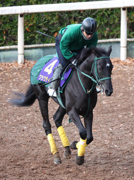 坂路でキャンター調整するクラウディアイ（撮影・白石智彦）