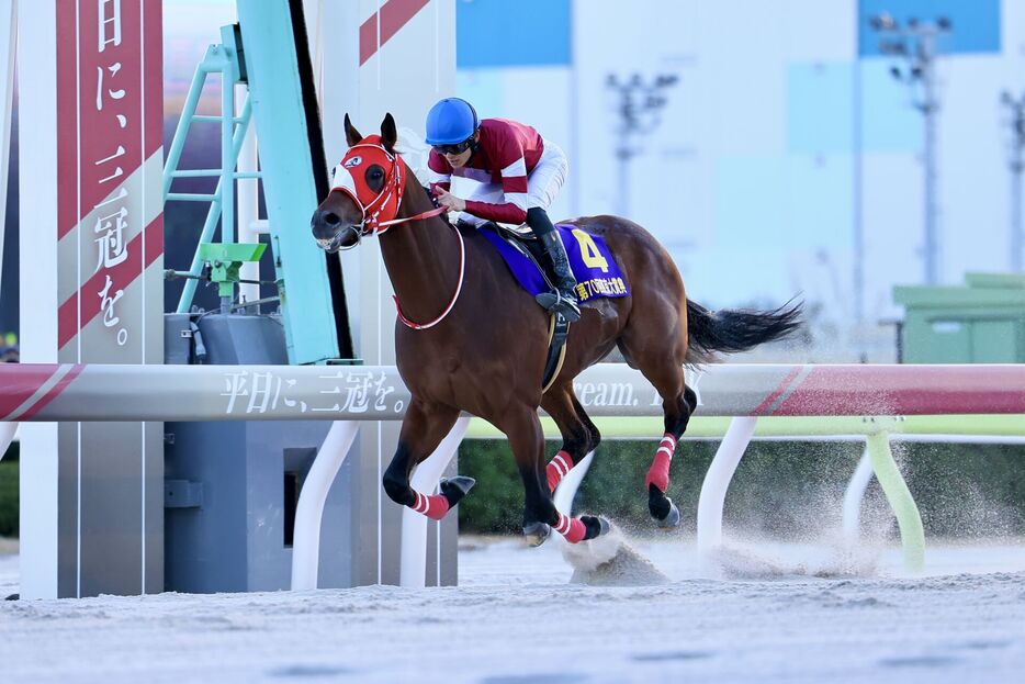 東京大賞典・フォーエバーヤングと坂井瑠星騎手 (C)Hiroki Homma