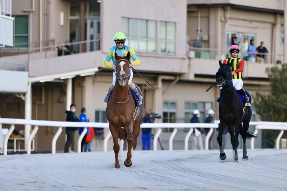 東京大賞典・デルマソトガケとC.ルメール騎手 (C)Hiroki Homma