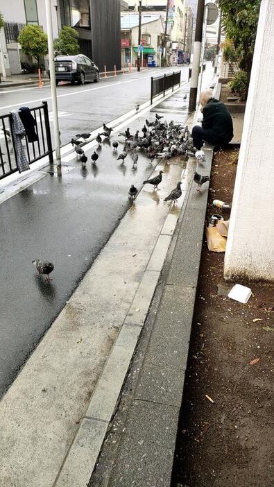 おびただしい数の鳩にエサをやる男性＝横浜・寿町（一部画像を処理しています）