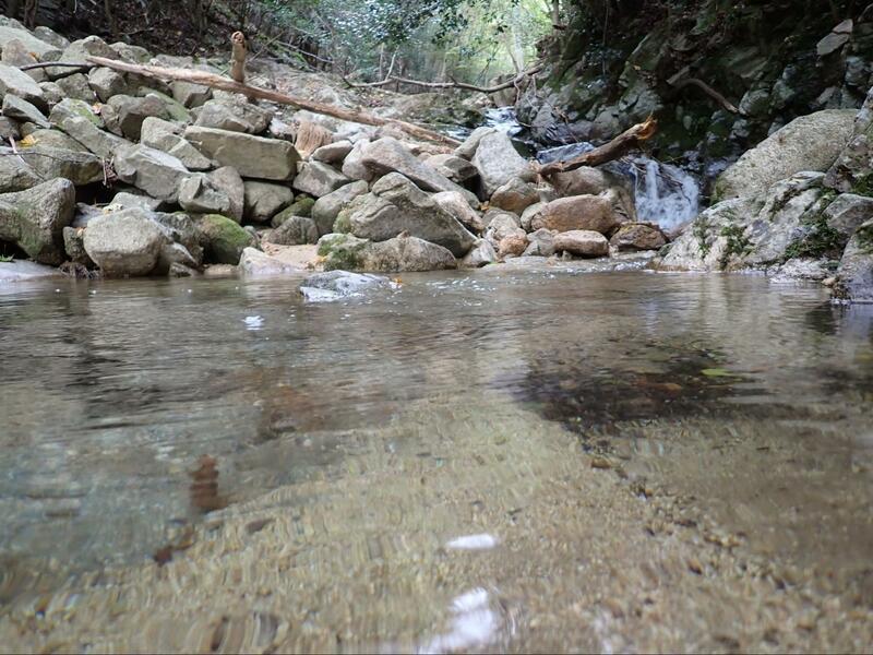 高岳登山道の沢