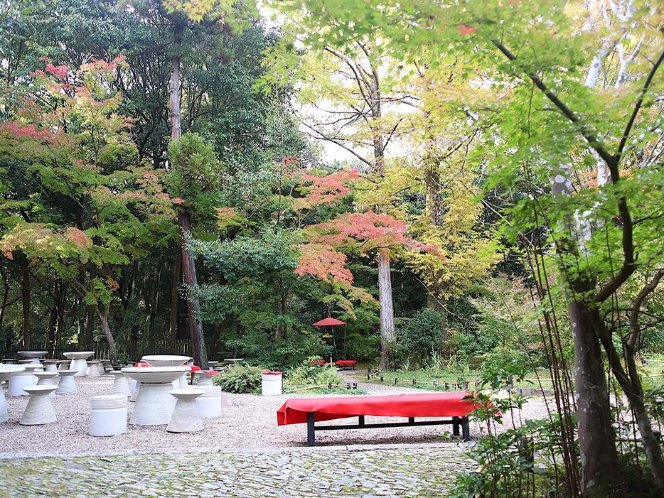 春には春の秋には秋の魅力あふれるお庭のあるお茶屋さん