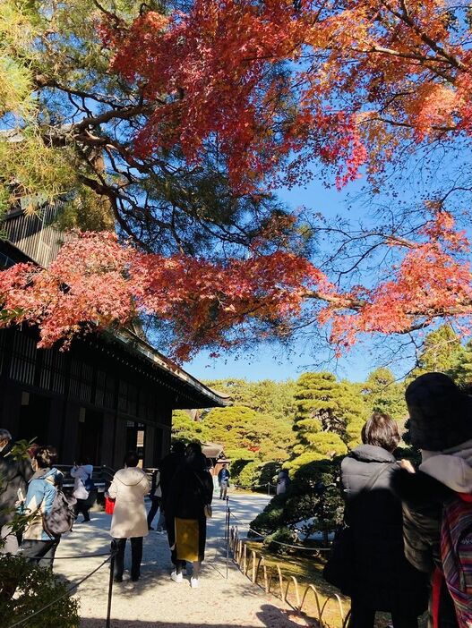 「黒光る君」実資様はいずこ…（写真：婦人公論.jp編集部）