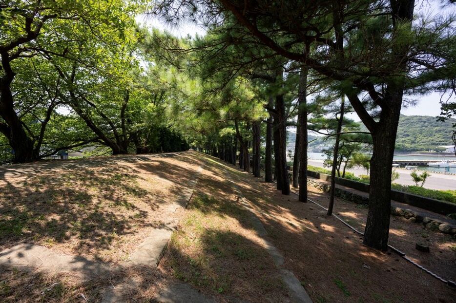 悟陵の尽力によって完成した広村堤防。昭和21年（1946年）の昭和南海地震の津波では、多くの町民の命を救った