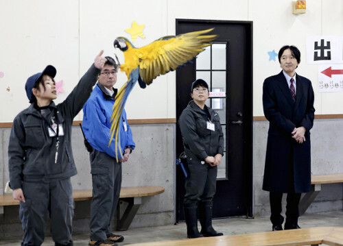 バードフライトを視察される秋篠宮さま（１９日、静岡市立日本平動物園で）＝代表撮影