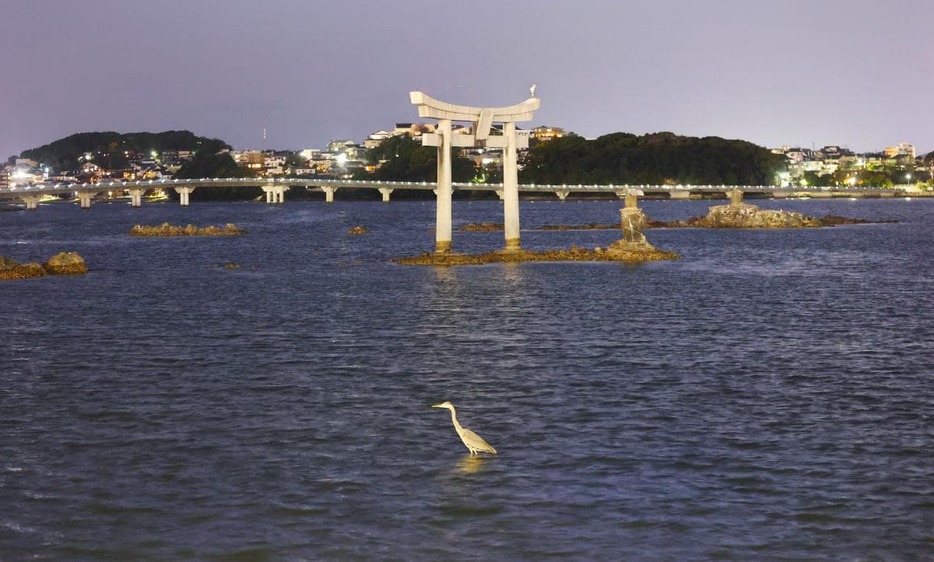 干潟や鳥居で羽を休める