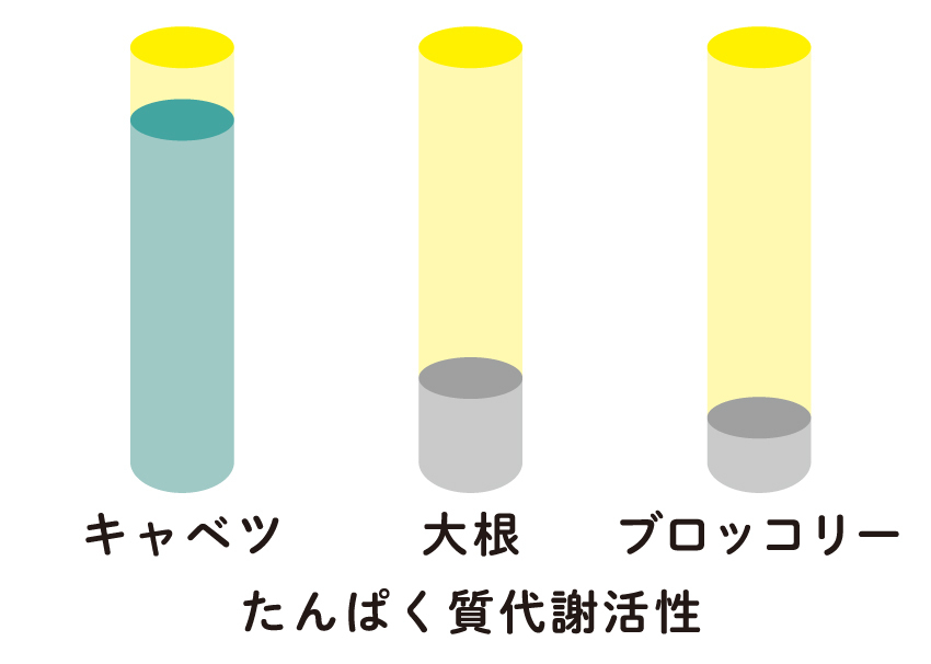 (c)監修:濱裕宣、赤石定典『完全版 その調理、9割の栄養捨ててます！』/世界文化社