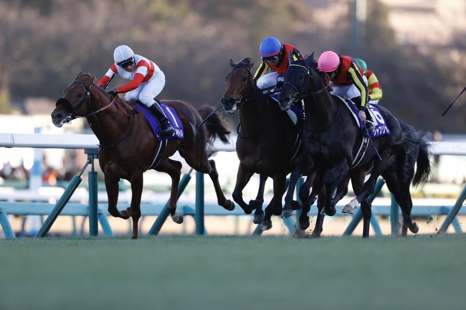 （真ん中）有馬記念・レガレイラと戸崎圭太騎手