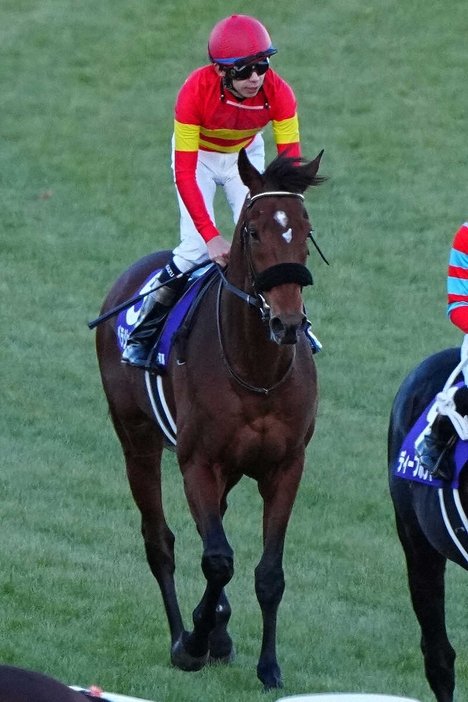 ＜有馬記念＞4着のベラジオオペラ（撮影・河野　光希）