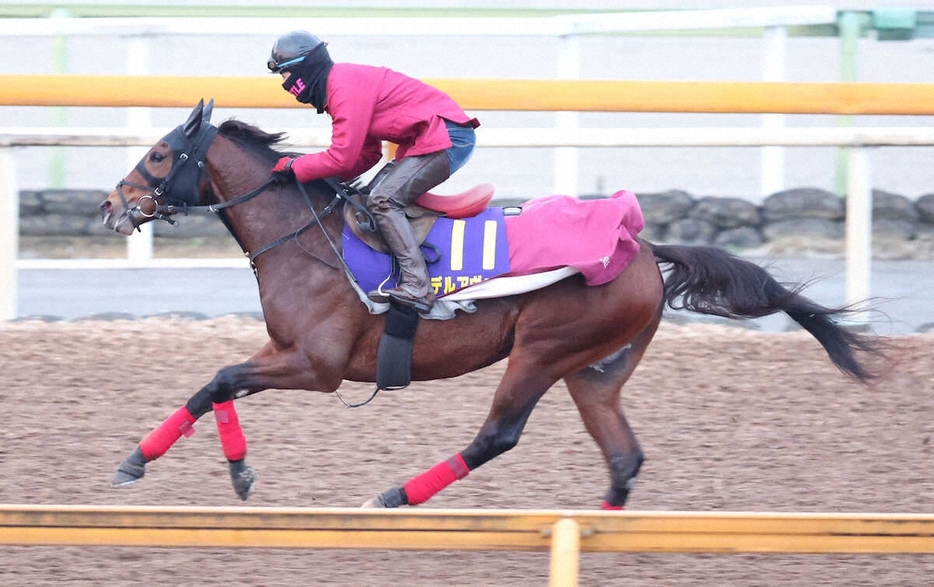 CWコースで追い切るデルアヴァー（撮影・亀井直樹）　