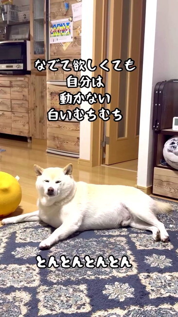 自分からは……!?