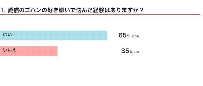 ※2024年10月実施「ねこのきもちアプリ」内アンケート調査（回答者数 258人）