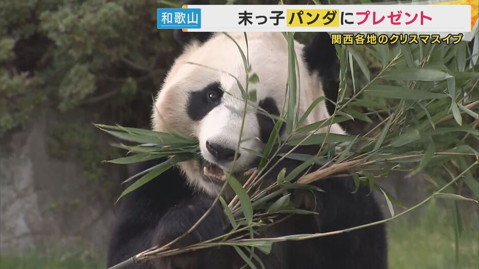 竹の葉ケーキゲットの楓浜