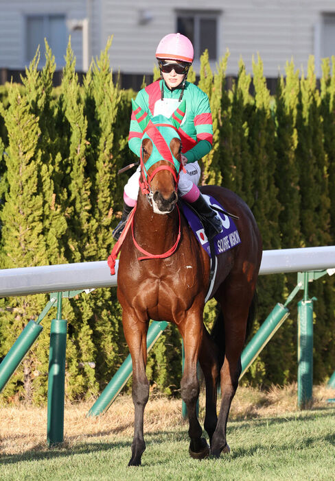 ５着のスリールミニョンと永島まなみ騎手（カメラ・豊田　秀一）