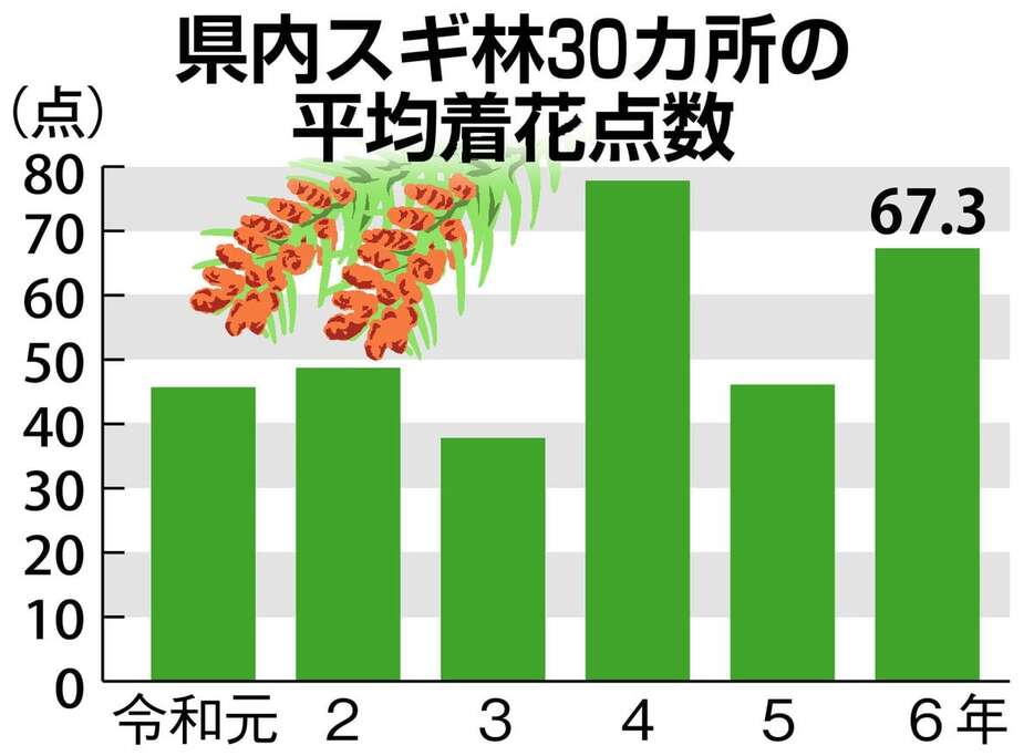 県内スギ林30カ所の平均着花点数