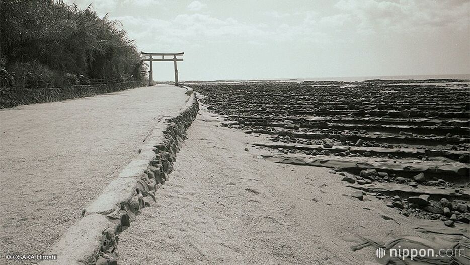 「鬼の洗濯板」が広がる浜辺に青島神社の鳥居が立つ