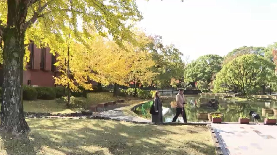 石橋文化センターのイチョウ