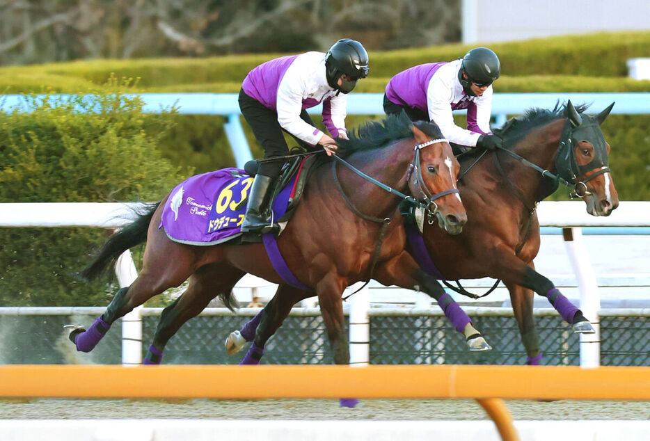 絶好の仕上がりで引退レースを迎えるドウデュース（左）（カメラ・高橋　由二）