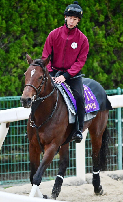 ３冠牝馬・リバティアイランドが香港に殴り込む