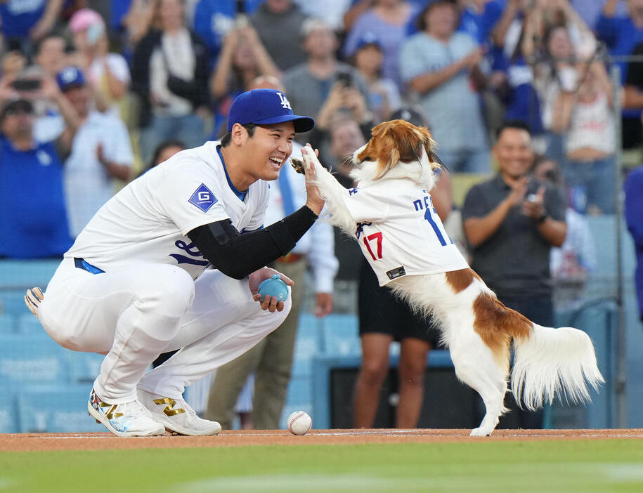 ドジャース大谷翔平と愛犬デコピン（2024年8月撮影）