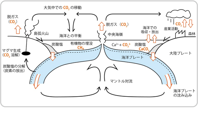 地球での炭素循環　figure by Ikuo Katayama