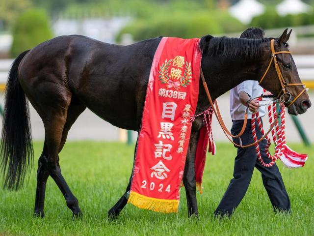 GI初制覇を目指すシュトルーヴェ(今年5月撮影、ユーザー提供：natsumiさん)