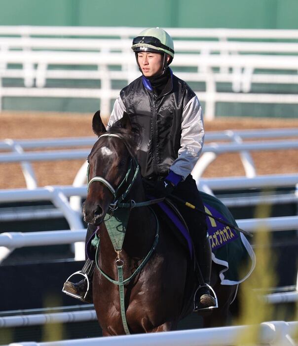 吉村騎手とランスオブカオス。フレッシュコンビがGⅠ初騎乗初勝利を目指す