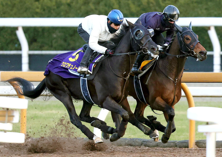 北村友一騎手を背に併せ馬で追い切るクロワデュノール（手前）