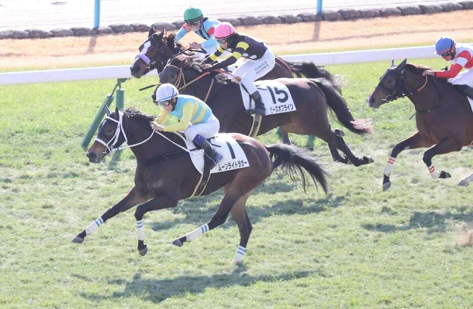 ムーンライトラガー（中央手前）は直線で外からグイグイ伸びた＝京都競馬場（撮影・安部光翁）