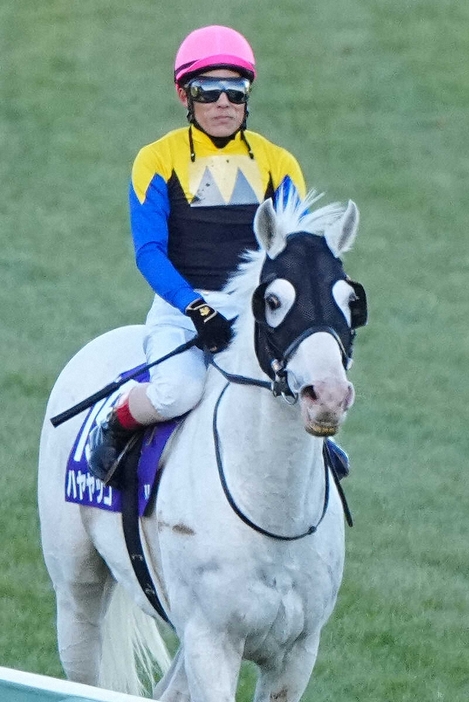 有馬記念15着だった吉田豊騎乗のハヤヤッコ（撮影・河野　光希）