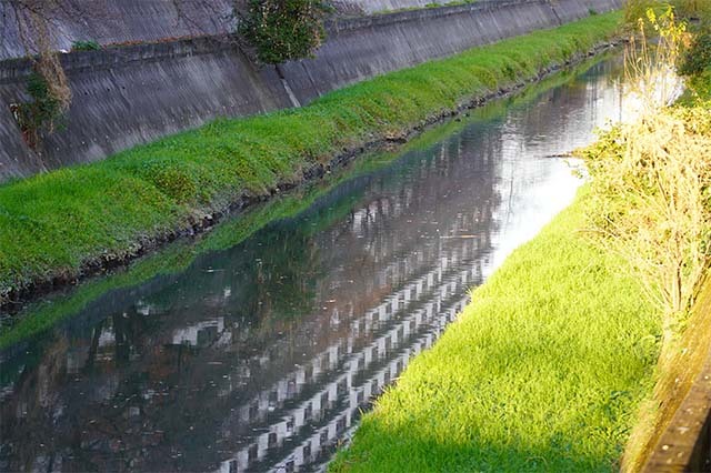 土の部分を残した用水路