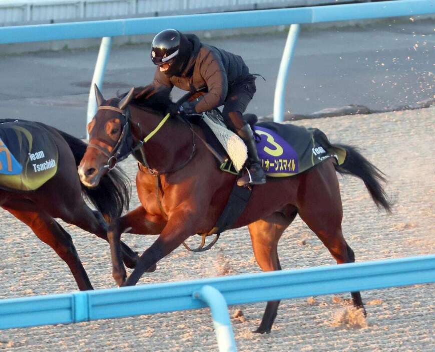 併せ馬で一杯に追われたアリオーンスマイル＝美浦トレセン（撮影・塩浦孝明）