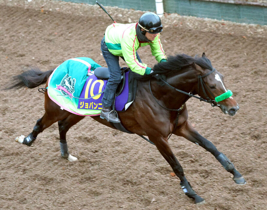 坂路をまっすぐに駆け上がるジョバンニ（カメラ・高橋　由二）