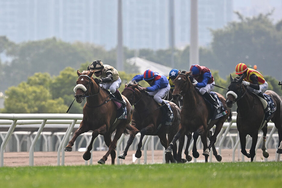 香港ヴァーズ (C)The Hong Kong Jockey Club