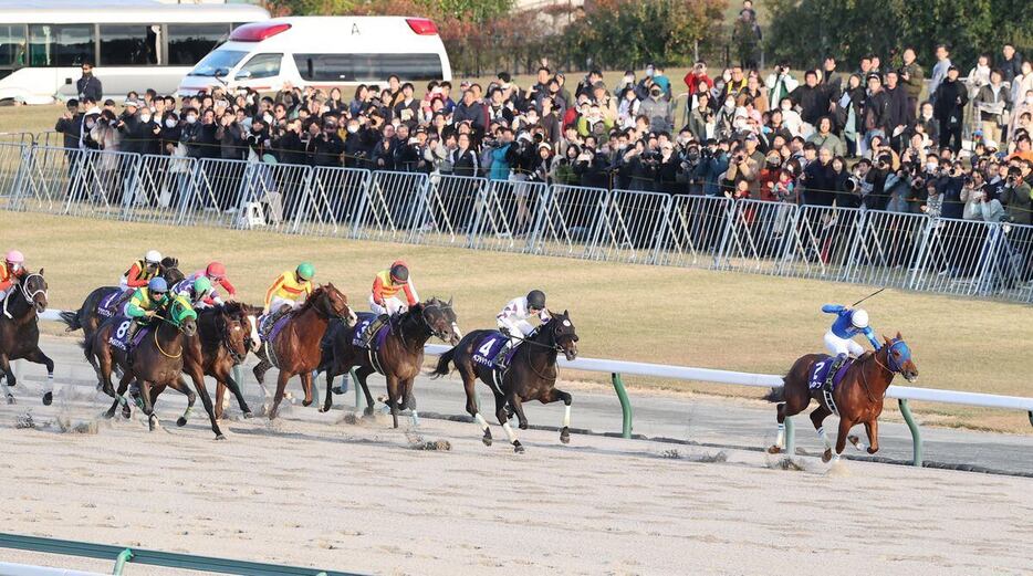 チャンピオンズCのゴール前＝中京競馬場（撮影・安部光翁）