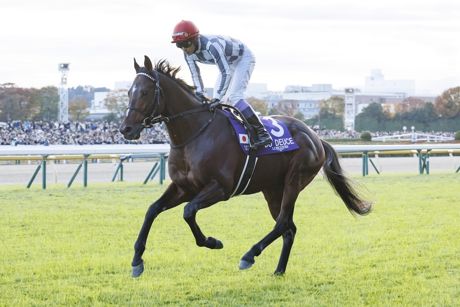 今年の有馬記念は、やはりドウデュースが最有力か…　写真／橋本健