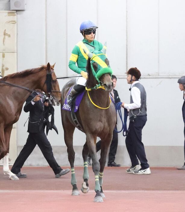 2着惜敗のウィルソンテソーロ＝中京競馬場（撮影・安部光翁）