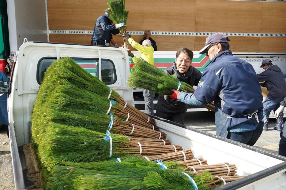 息を合わせて、若松を出荷トラックに積み込む＝2024年12月5日午後1時1分、兵庫県丹波市山南町坂尻で