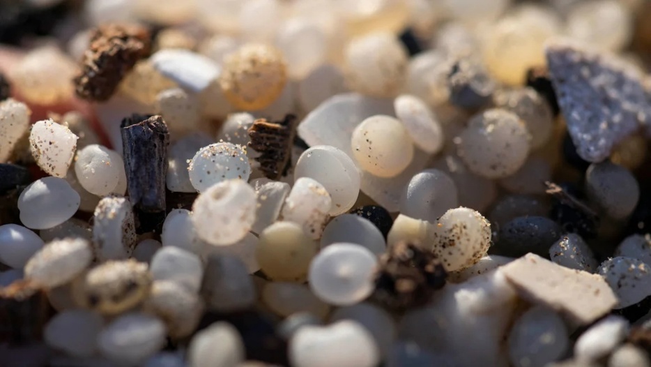 海岸でみられるプラスチック粒子＝１月１２日、スペイン・タラゴナ