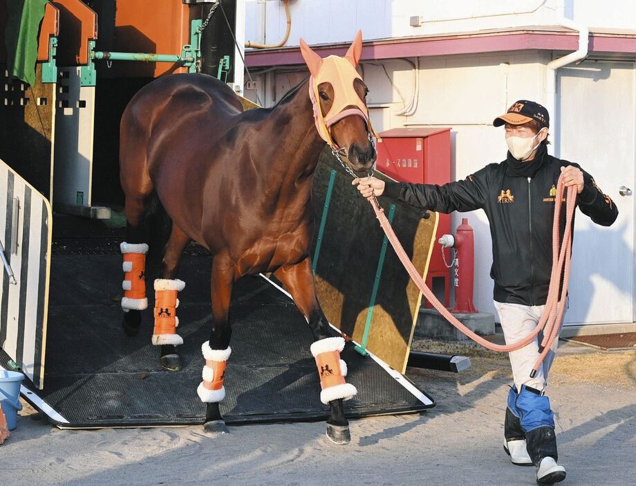 中山競馬場に到着したスタニングローズ