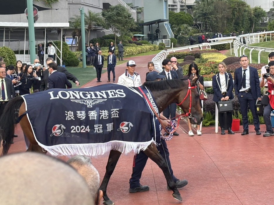 ロマンチックウォリアー